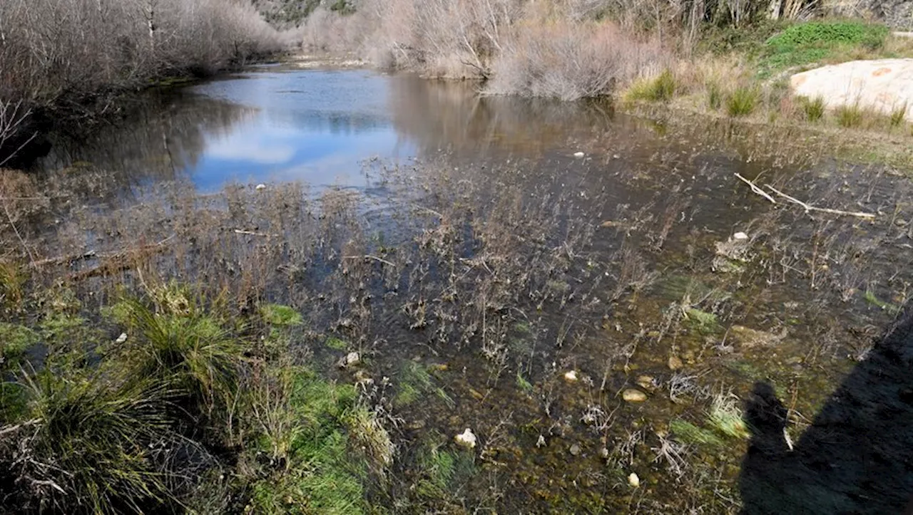 Sécheresse : restriction, carte en rouge, cette crise de l’eau qui n’en finit pas dans les Pyrénées-Orientales