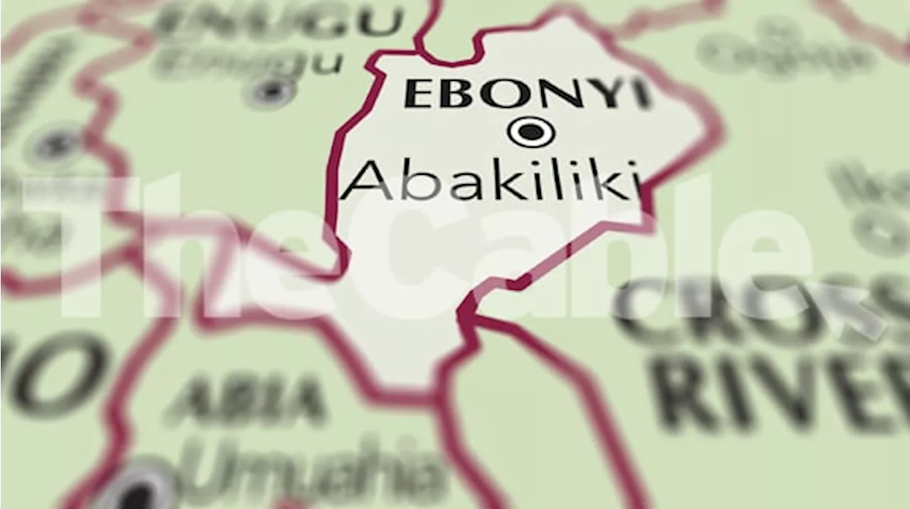 Police: Gunmen killed 10 residents in attack on Ebonyi community