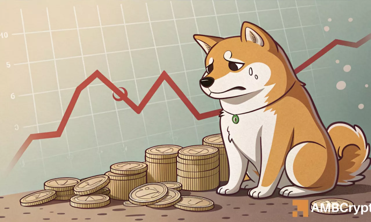 Shiba Inu (SHIB) Price Shows Potential for Recovery Amidst Declining Network Activity