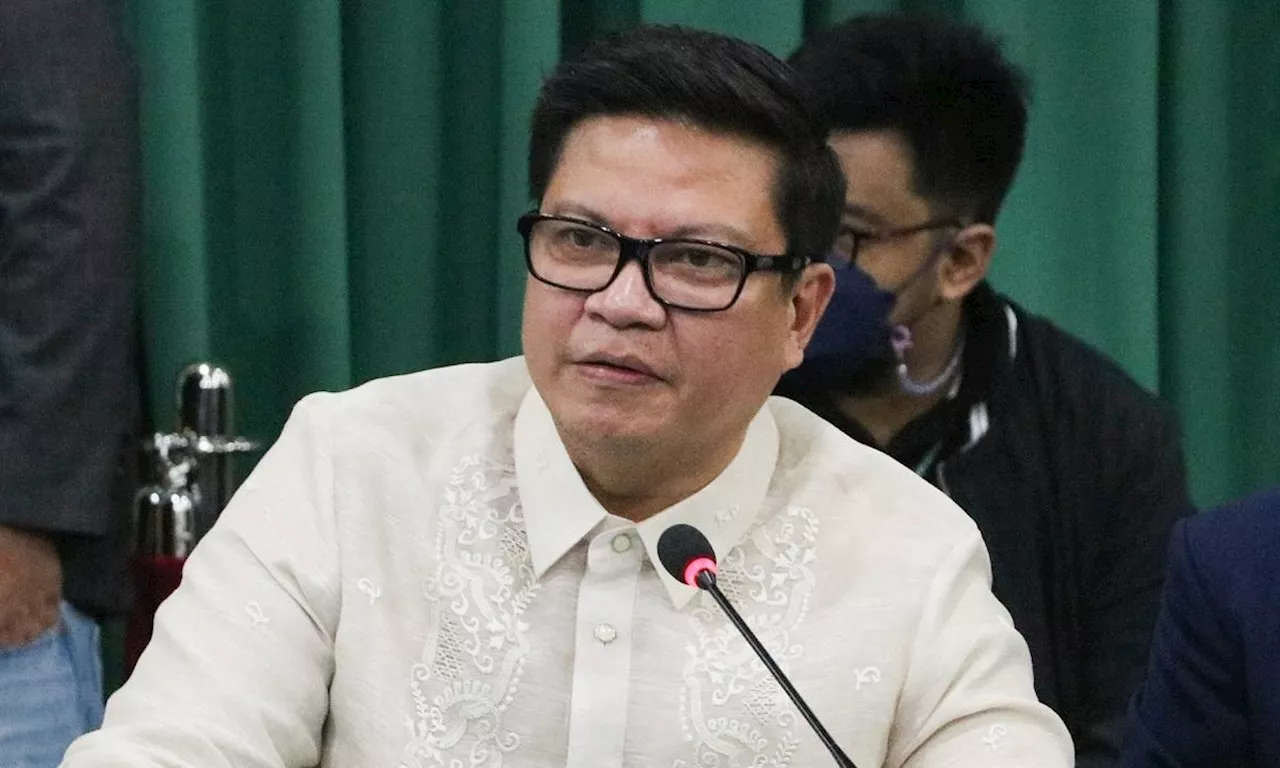 Duterte allies' bid to suspend House leaders a 'political maneuver,' solon says