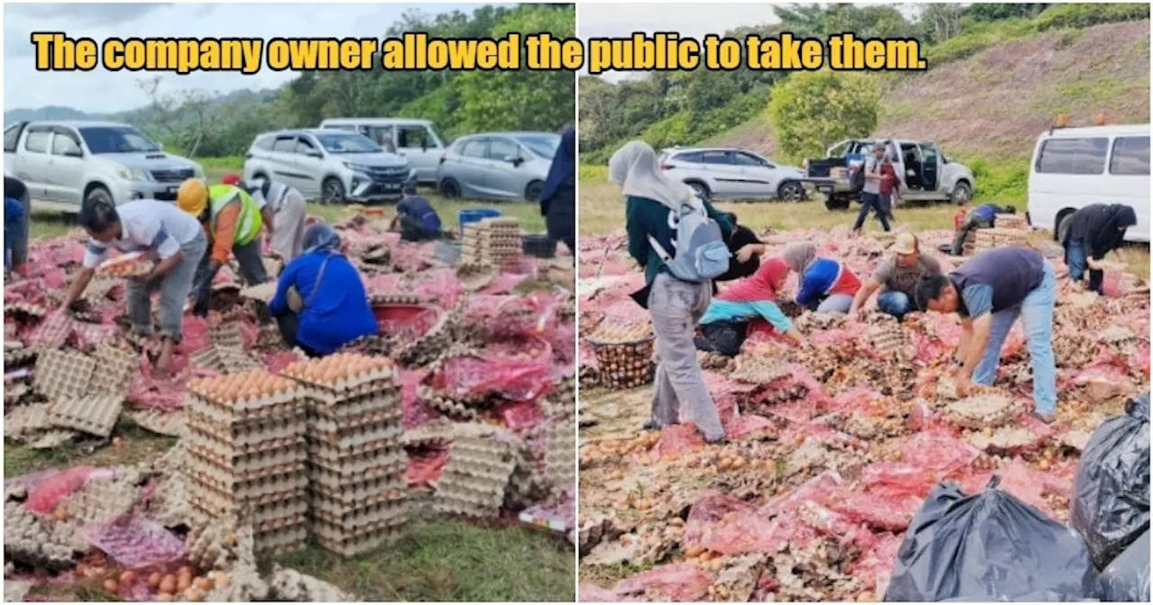 Lorry Carrying 78,000 Eggs Overturns on Highway, Owner Invites M’sians to Take Eggs Home for FREE