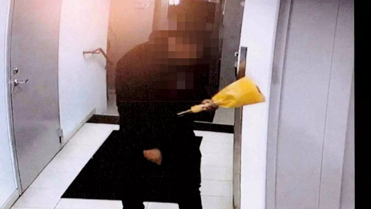 Åtal: 18-åring utklädd till blombud – sköt mot barnfamilj
