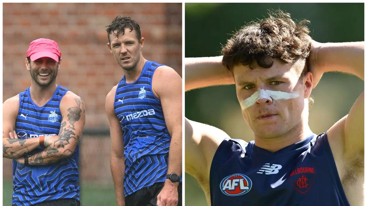 New Roos recruits on show as Dees youngsters given golden opportunity