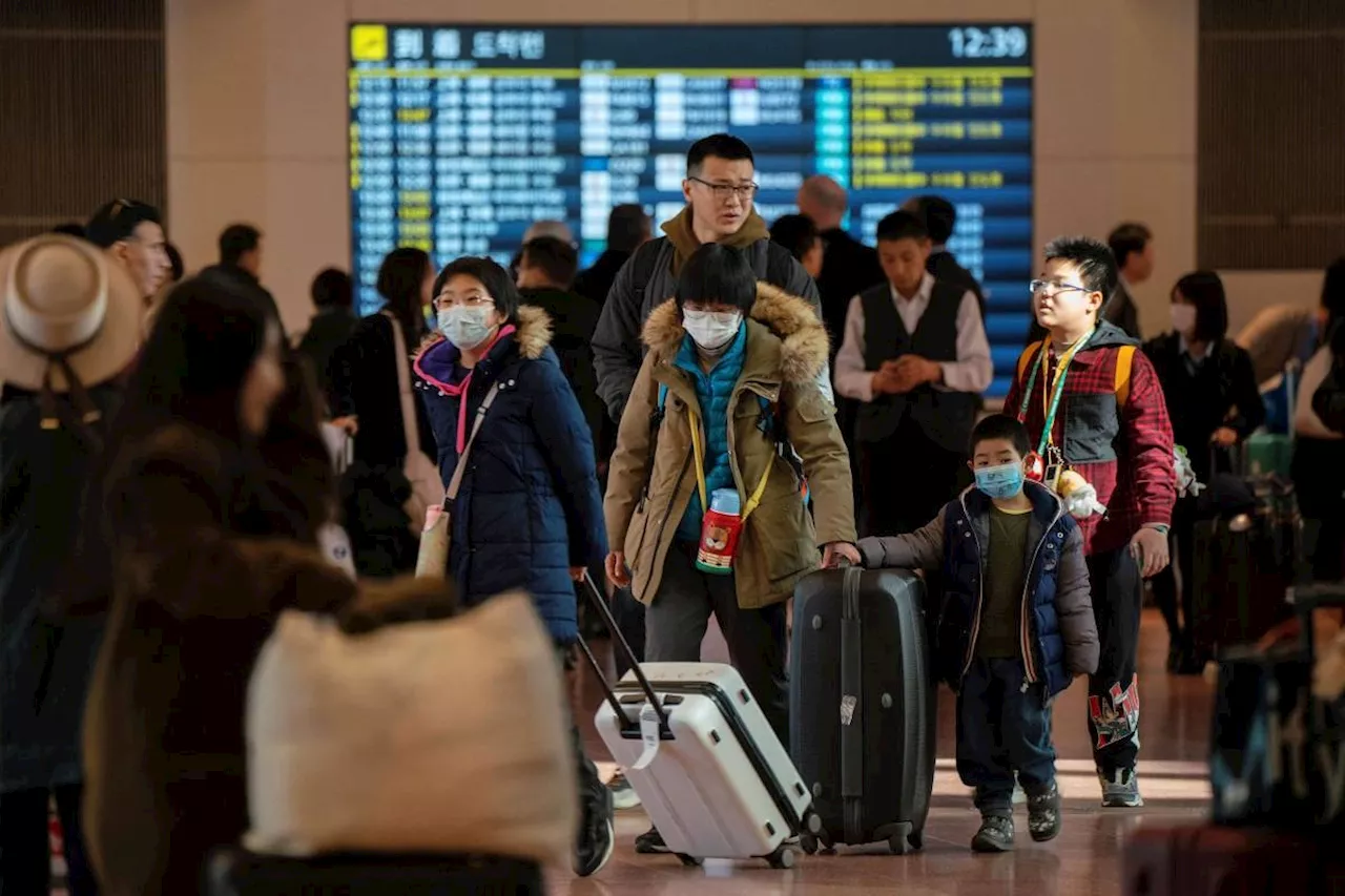 Only 17% of Japanese citizens hold passports