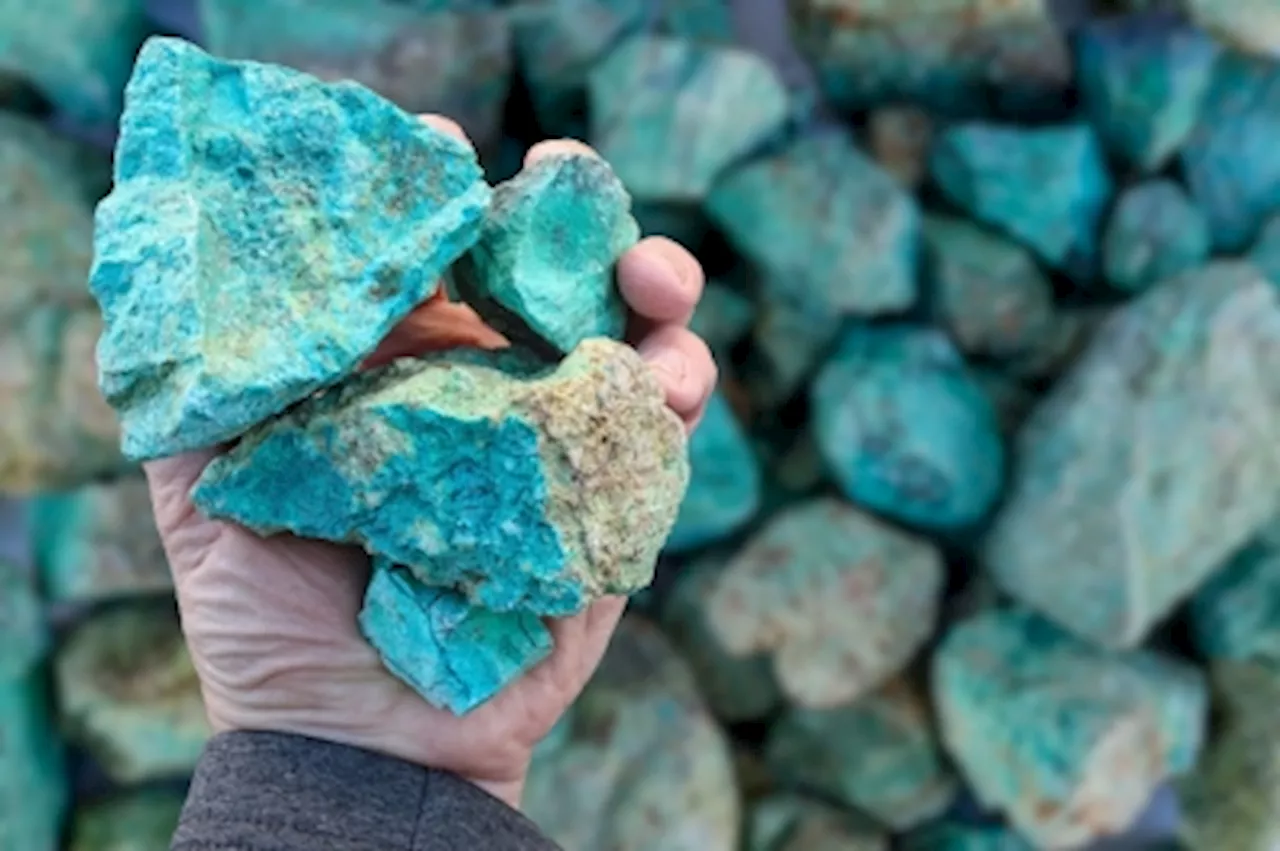 Ukraine’s mineral wealth draws global interest but rare earths remain untapped