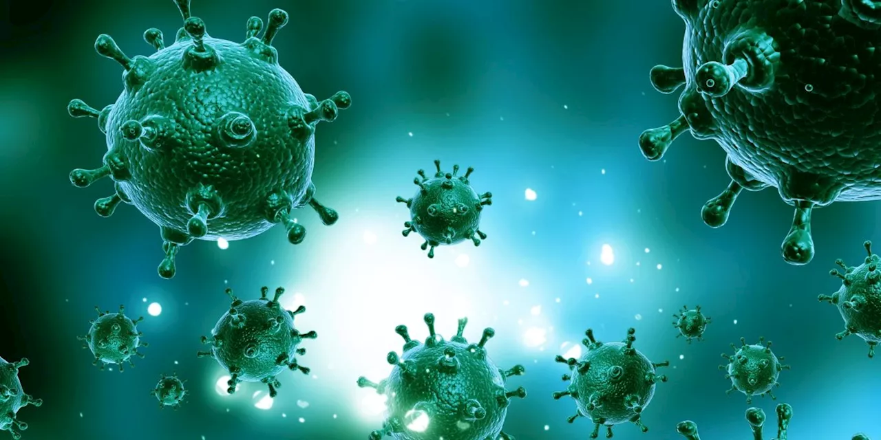 Kann sich das Coronavirus HKU5-CoV-2 auf den Menschen übertragen?