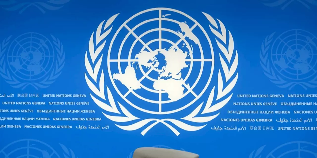 UN-Resolution: Sicherheitsrat verurteilt Gewalt im Kongo scharf