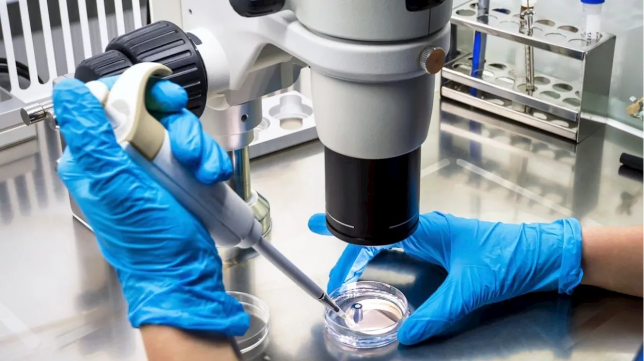 US should consider barring Chinese citizens from its national labs, Senate hears
