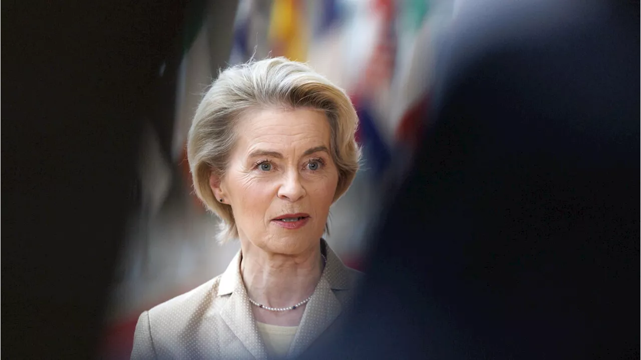 Von der Leyen: 'Il sostegno all'Ucraina è incrollabile'