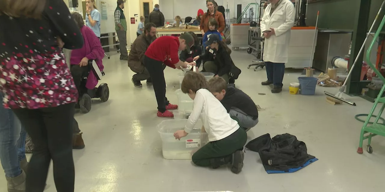 Engineers in the making at UAA’s ‘Engineers Week’