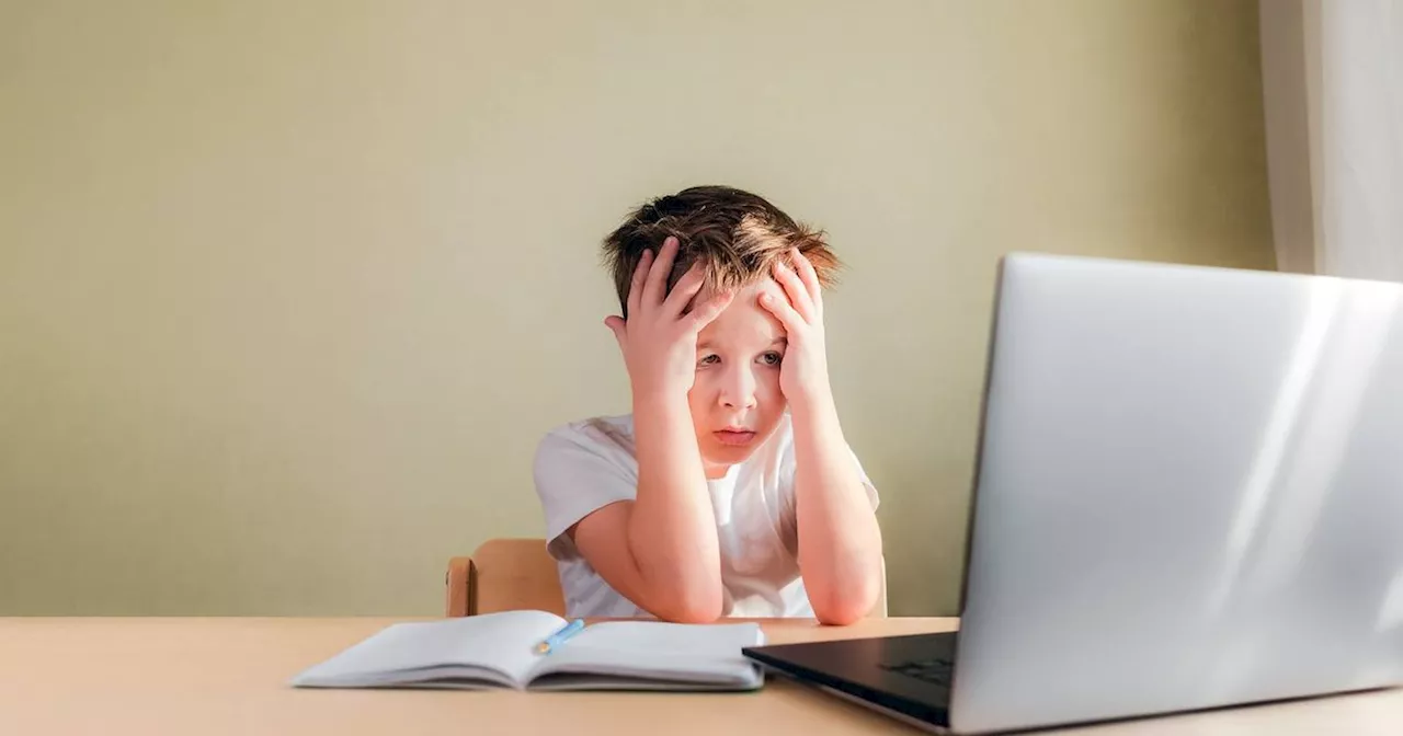 11-year-old's homework question about 'brainteasers' is baffling adults