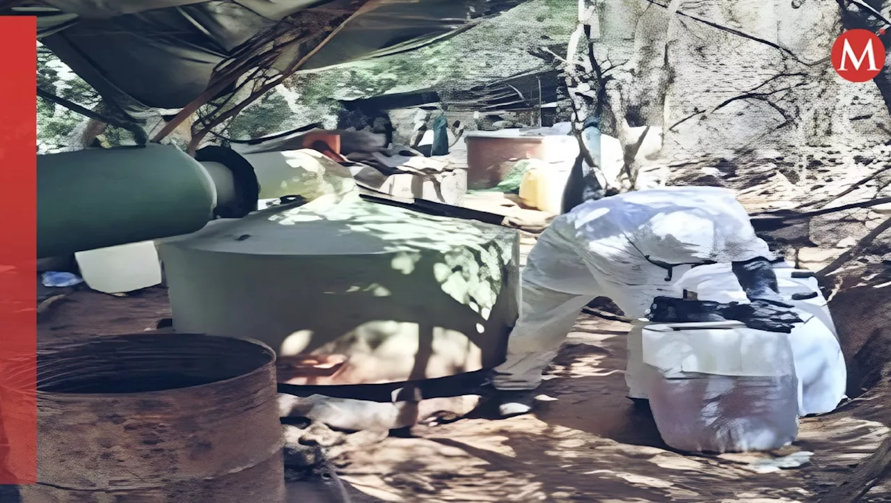 Aseguran 27 laboratorios clandestinos en Sinaloa durante operativo conjunto