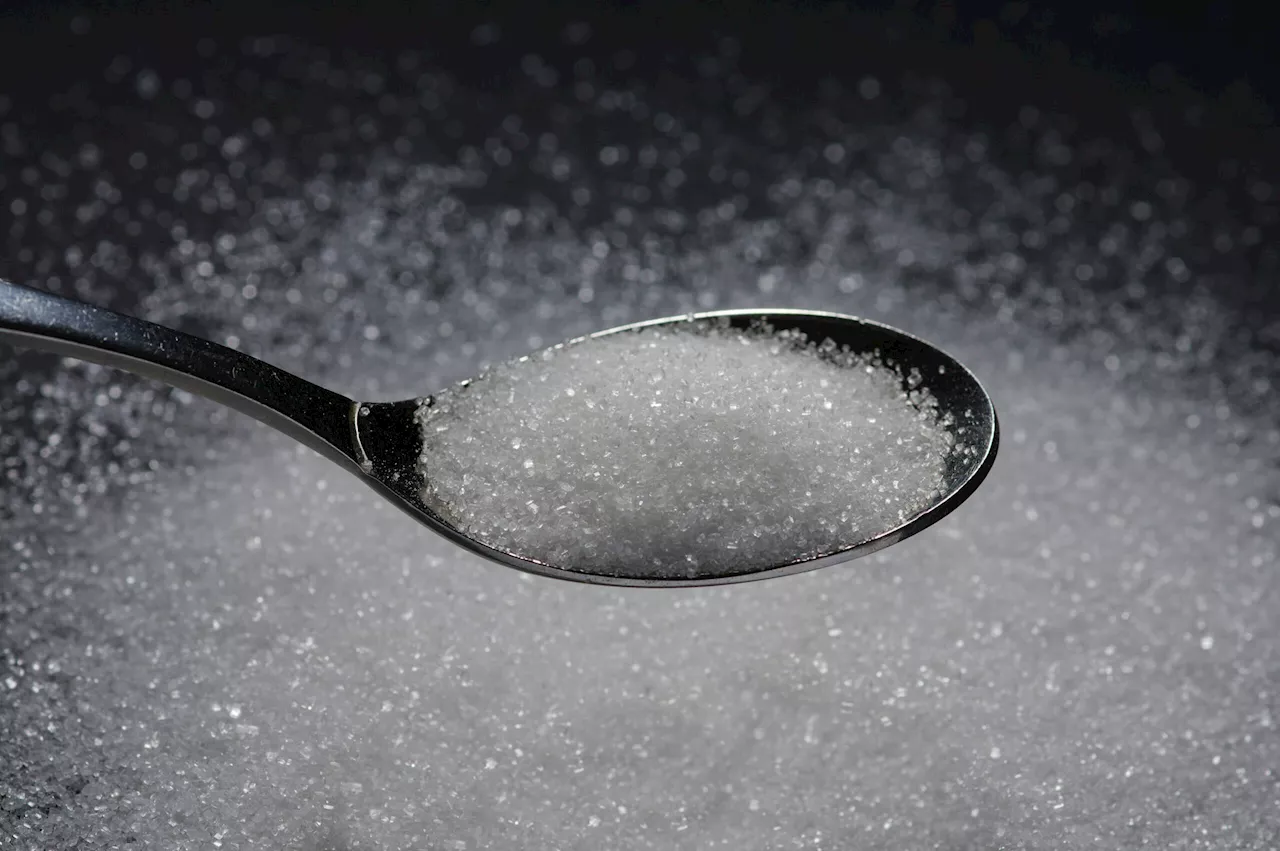SRA readies plan to import 165,000 tons of refined sugar next month