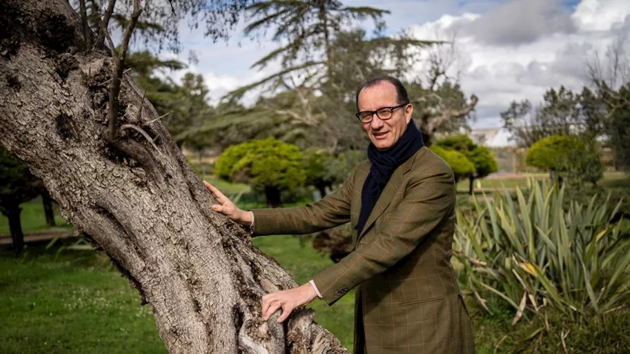 Luigi de Vecchi con Sylva: «Una pianta ci salverà». I boschi contro l'effetto serra Oggi con Buone Notizie