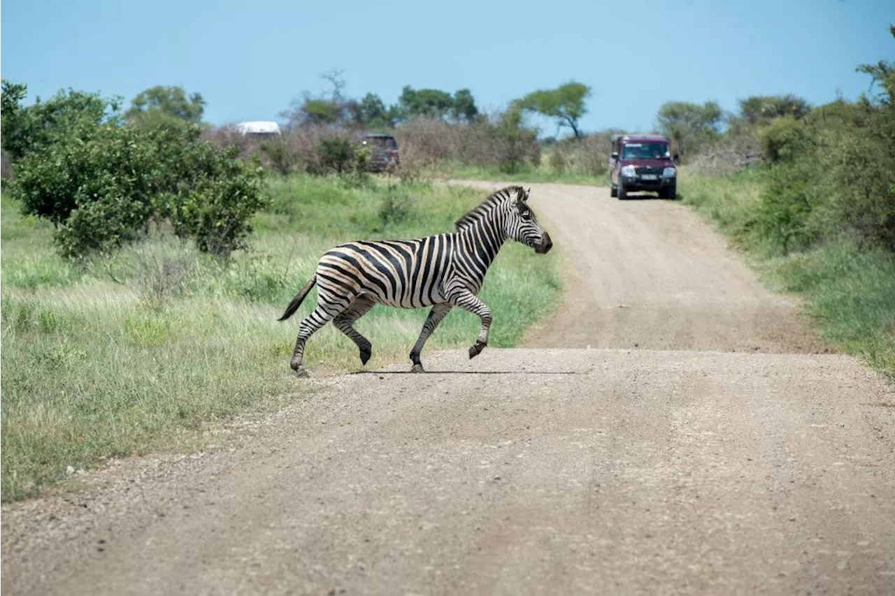 ‘Exploring South Africa’s untapped destinations can boost post-Covid tourism recovery’