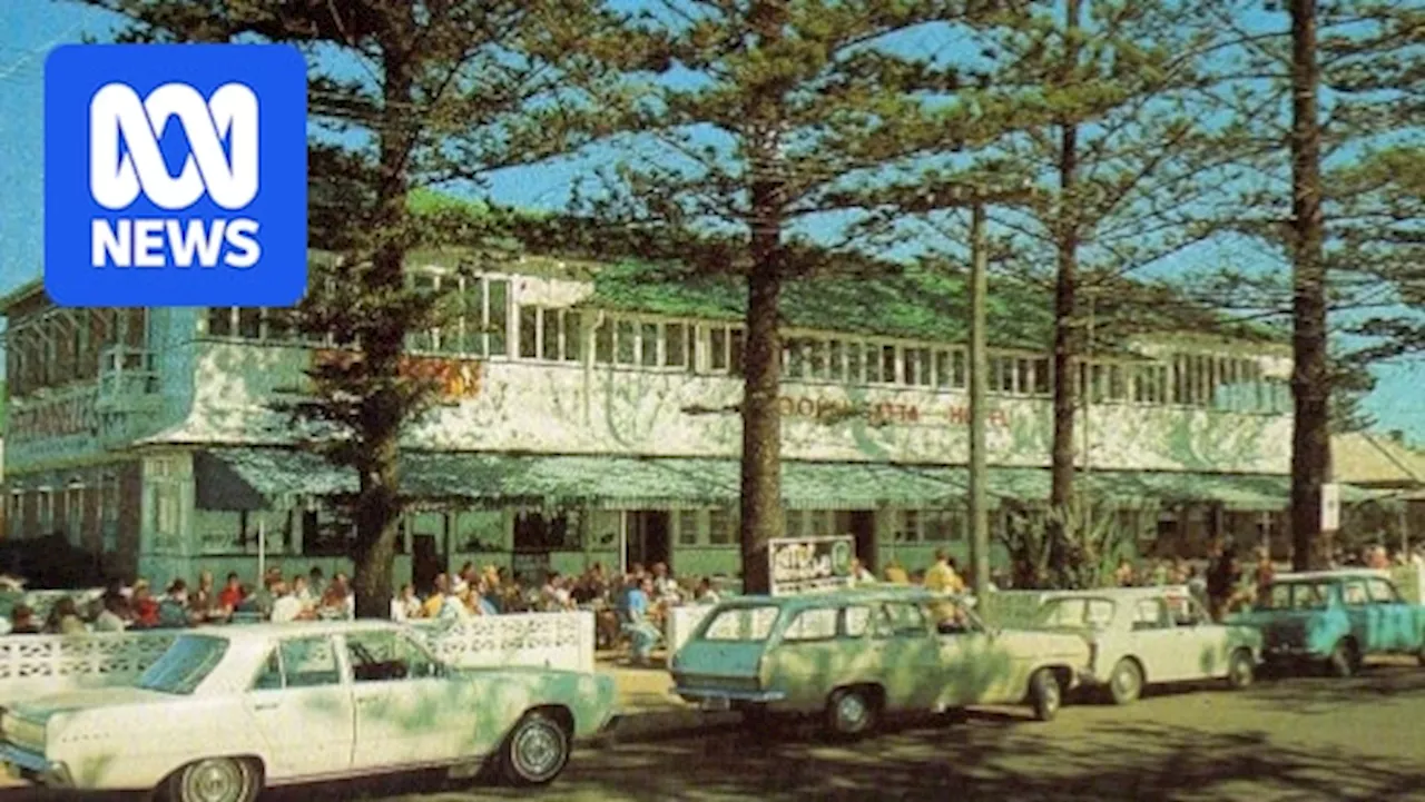 Extreme weather and vandalism impact beachfront Norfolk Island pines