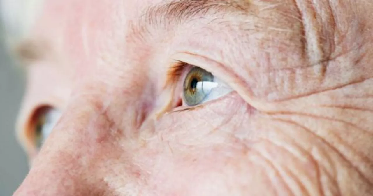 Ojo de halcón: el secreto para evitar las cataratas, el glaucoma y nunca más volver a usar lentes