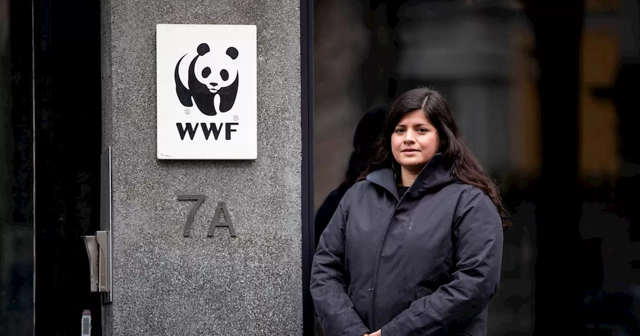 WWF anker gruve-nederlaget til lagmannsretten
