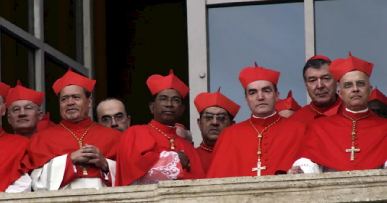 Papa Francesco, perché il "dopo" sarà un Vietnam: 138 perfetti sconosciuti (e quei due italiani)