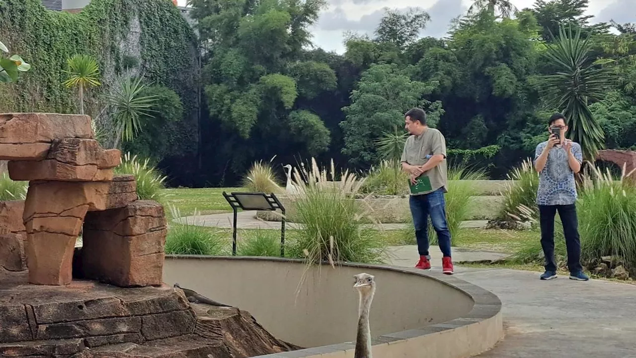 Menyusuri Aviary Park Indonesia, Taman Konservasi Flora dan Fauna yang Disulap dari TPS Ilegal