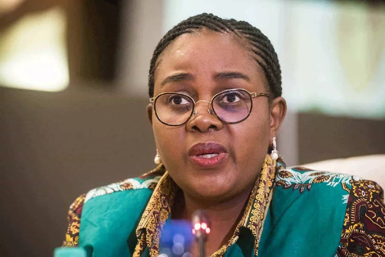 Kubayi explains ‘R16m travel splurge’