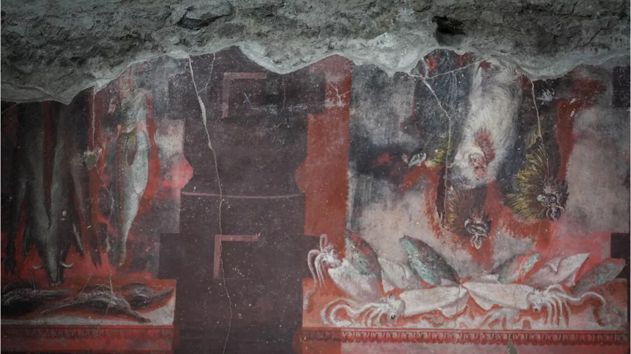 New 'Villa of the Mysteries' uncovered at Pompeii