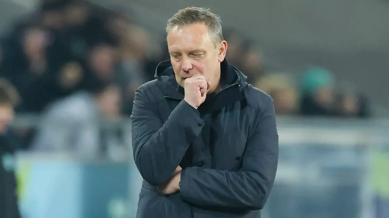 Hannover 96: Breitenreiter oder Stendel – Wer ist als Erstes raus?