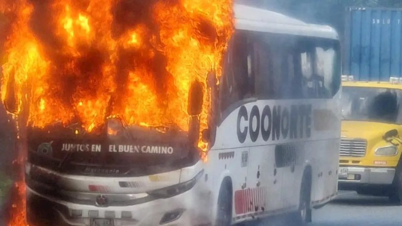 Atención: Guerrilleros del Eln quemaron un bus de servicio público en Valdivia, Antioquia