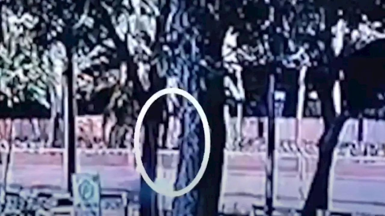 5, arestado sa umano'y drag racing sa Maynila; 1 karerista, nakabundol ng pulis