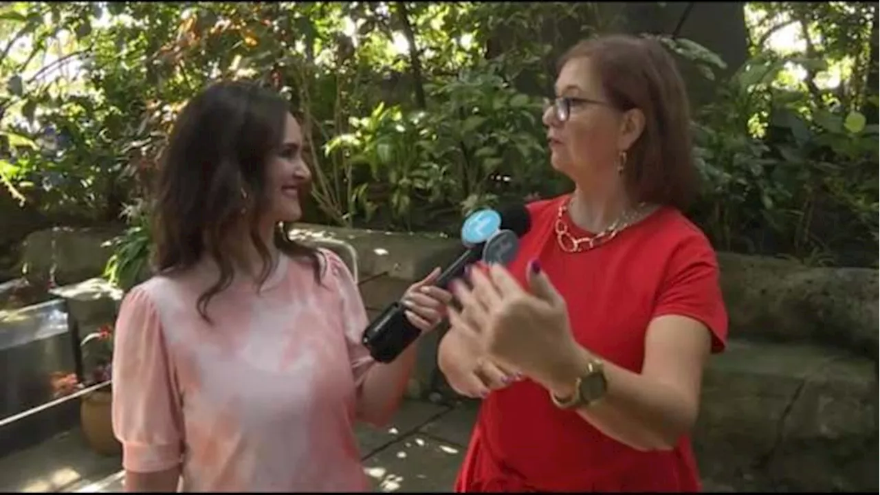 Moody Gardens ready for Spring Break with fun new family attractions