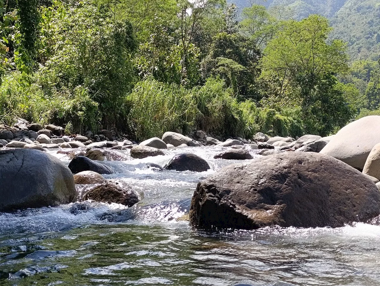 Idis urges stronger watershed protection