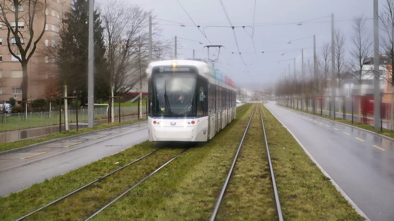 Nach neuerlicher Kollision am Mittwoch: Limmattalbahn kann derzeit nur fünf ihrer acht Fahrzeuge einsetzen