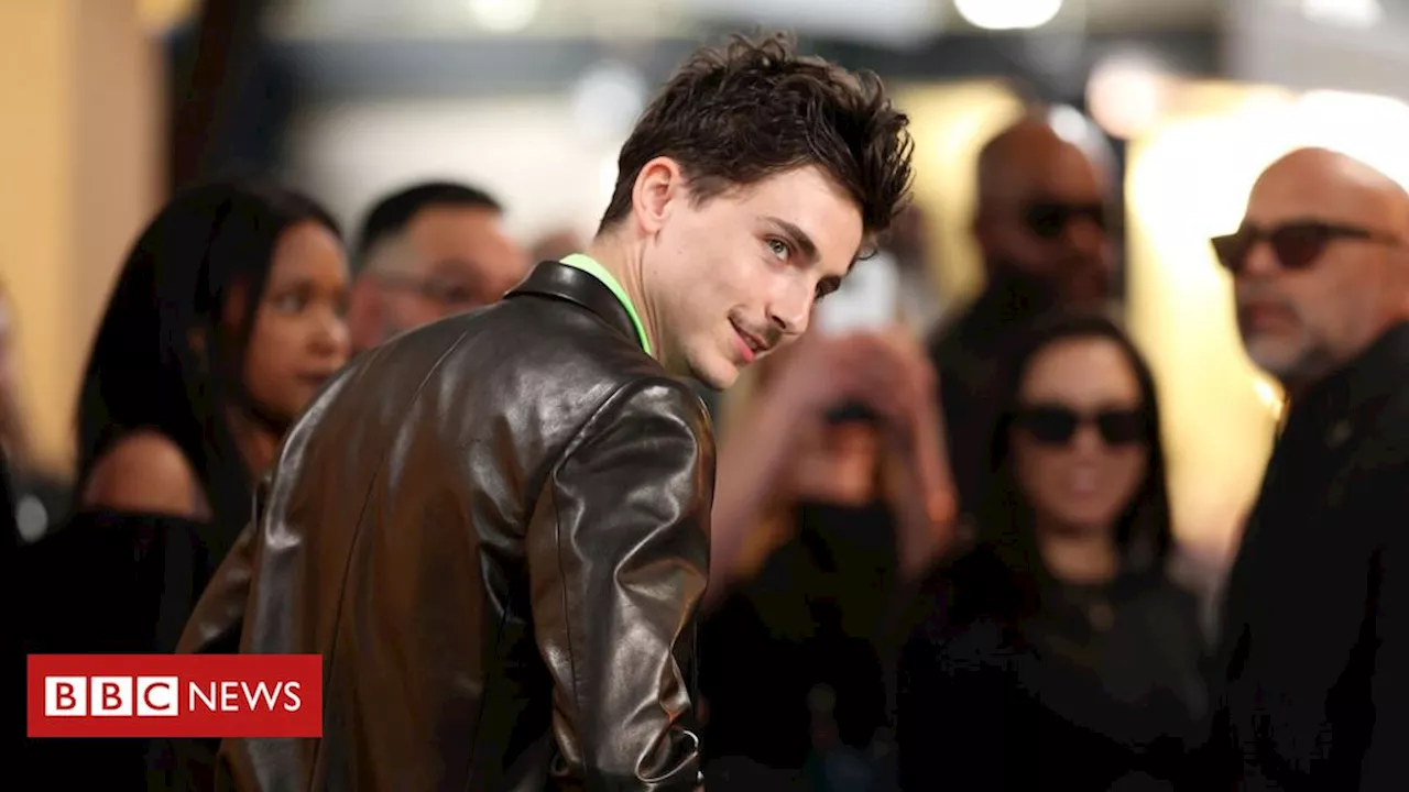 Oscar 2025: Timothée Chalamet pode surpreender com interpretação de Bob Dylan?