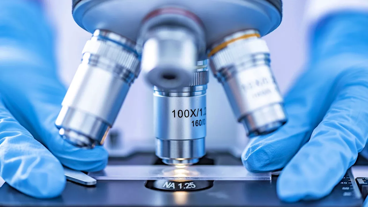 Wits working on plan improve access to research equipment