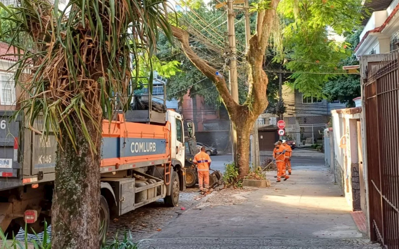 Árvore com abelhas, que ocupava calçada há um mês, é retirada na Tijuca