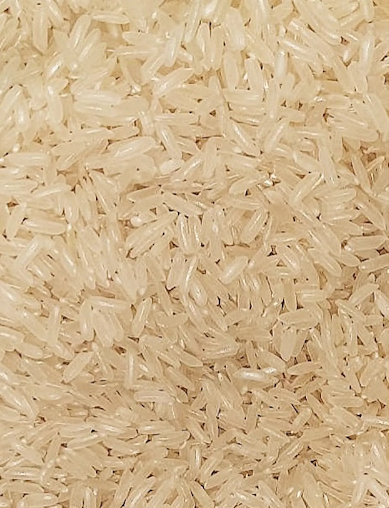 'Mas mura': P33 per kilo rice can be bought in Camarines Sur, says Villafuerte