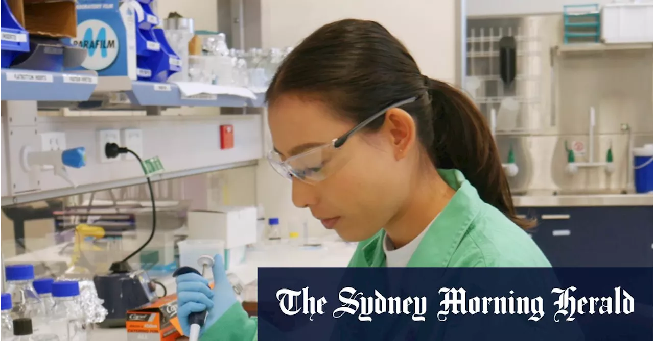 Australia-first study finds ‘forever chemicals’ in human brain tissue