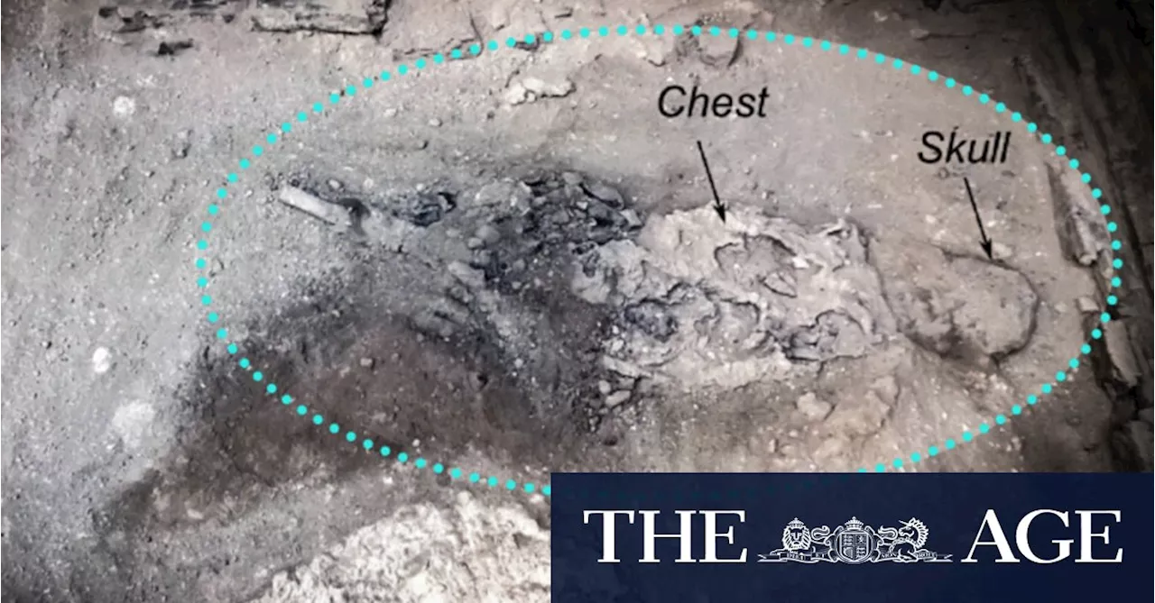 ‘Absolutely mind-blowing’: Human brain turned to glass by volcanic eruption