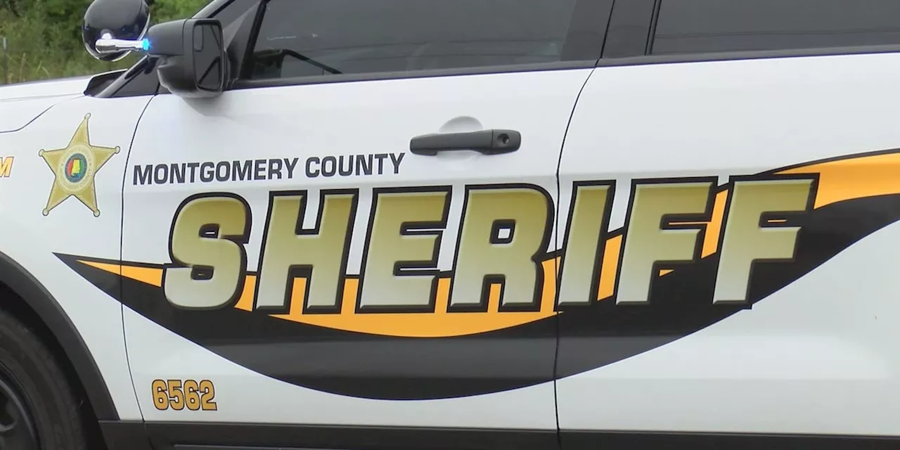 Police chase across 2 counties ends in crash