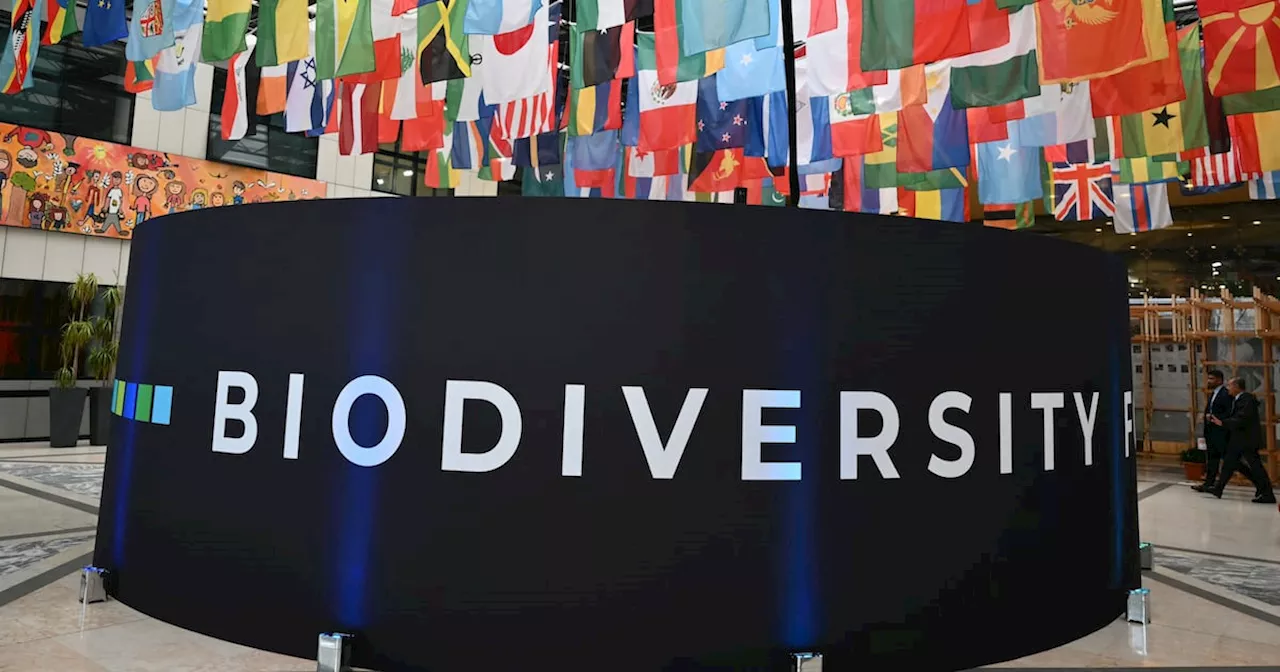 Last-minute deal agreed at global biodiversity summit