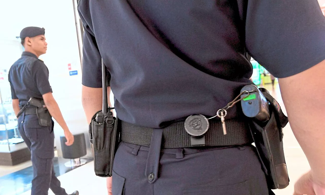 Stun guns for safer duties