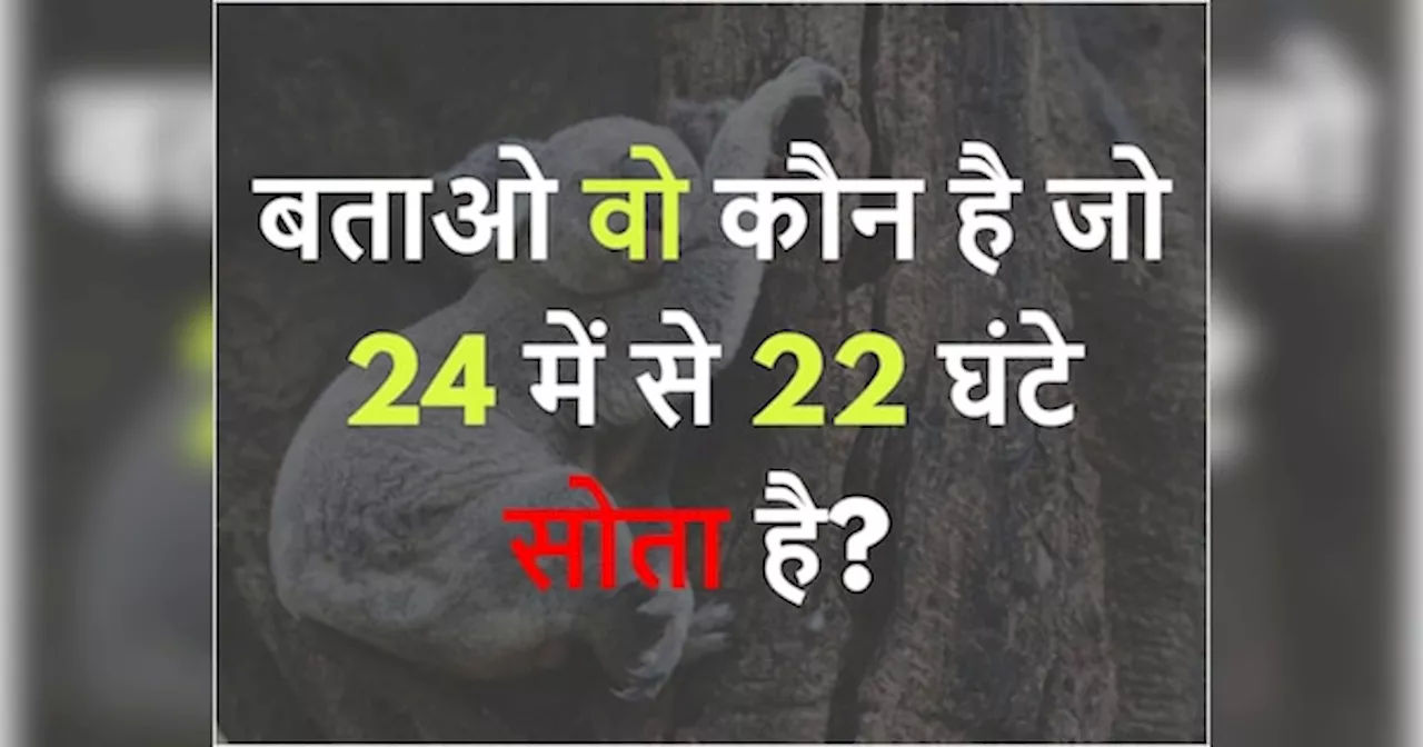 GK Quiz: वो कौन है जो 24 में से 22 घंटे सोता है?