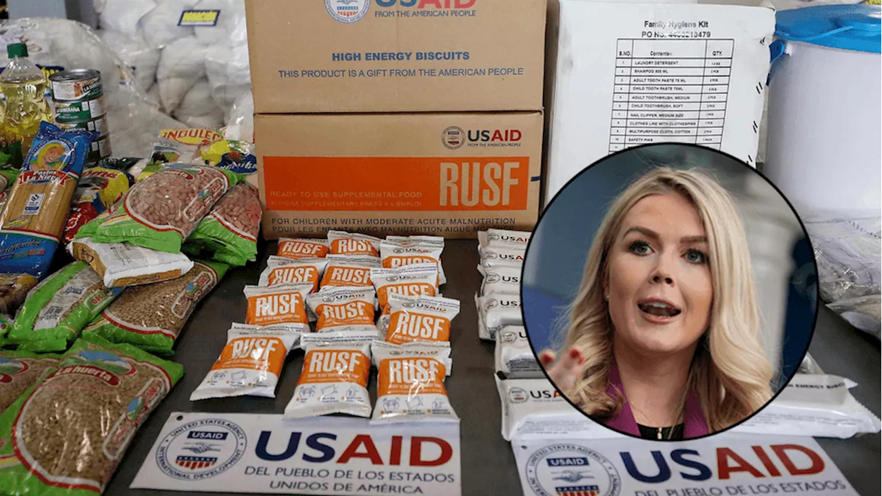 White House press secretary rips USAID amid DOGE scrutiny: 'Insane priorities'