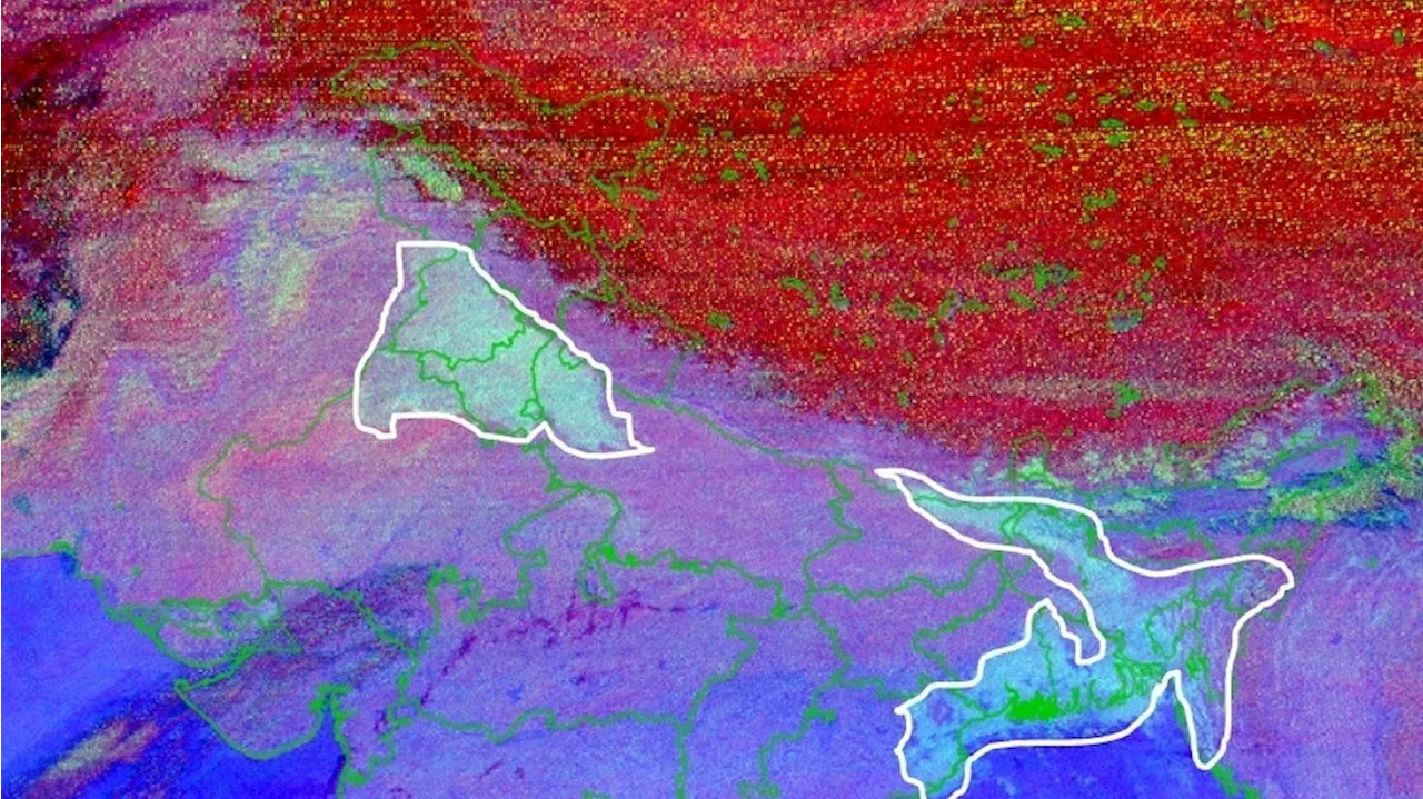 Rainfall Alert: दिल्ली समेत 11 राज्यों में छाए बादल और घना कोहरा! अब बारिश से बदलेगा मौसम, IMD अलर्ट जारी