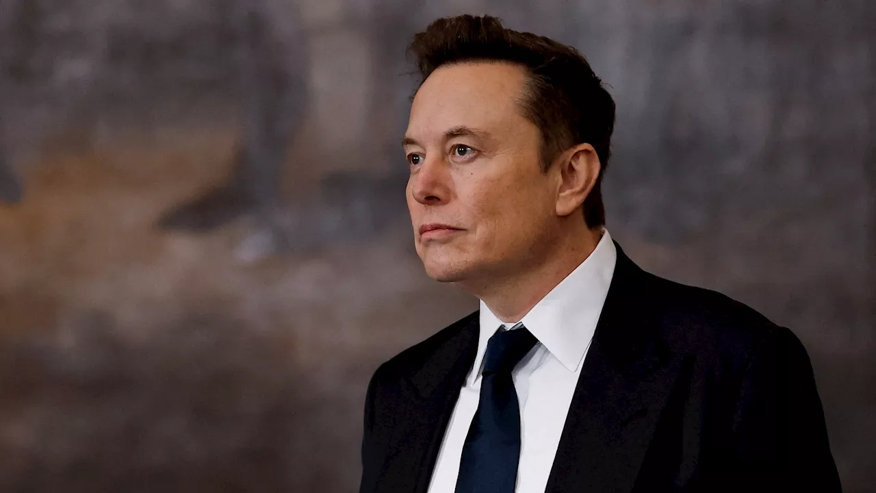 Elon Musk's Team Granted Access to Federal Payment System, Raising Concerns About Political Interference