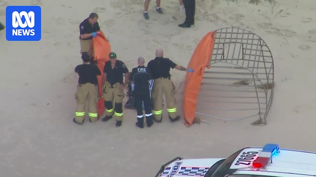 Fatal Shark Attack Closes Queensland Beach