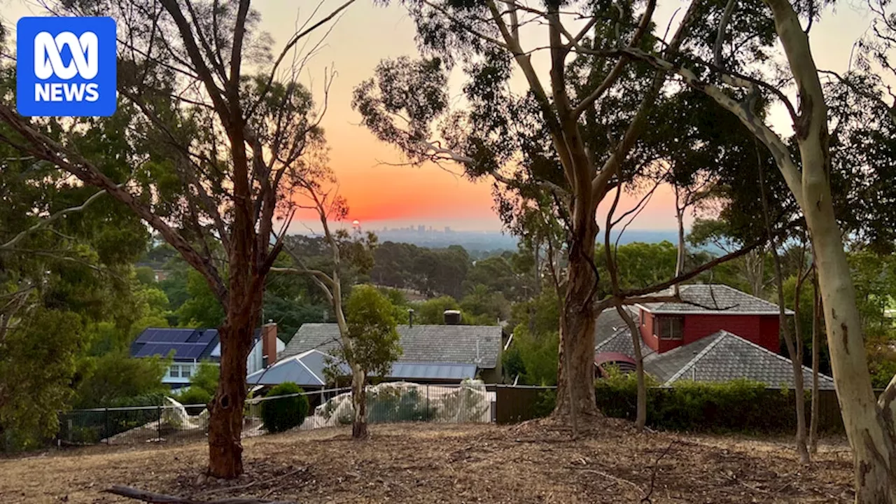 Hot weather triggers 'heat-related illness' in SA as bureau warns of tree branch risk