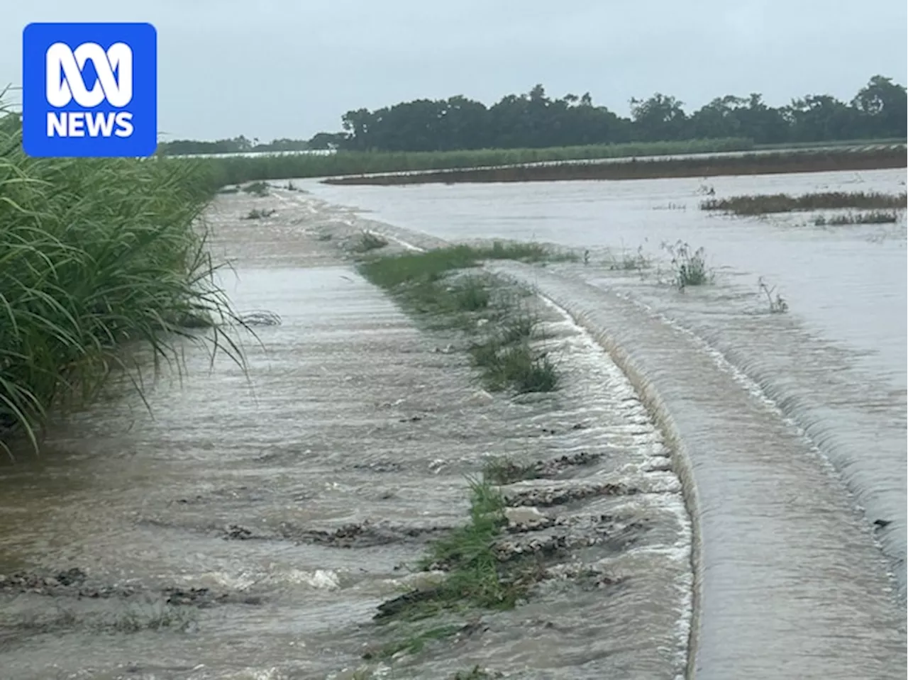 North Queensland Floods Devastate Banana Crops