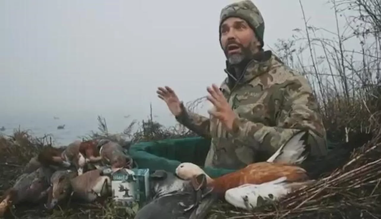 Trump Junior Cacciatore in Laguna Veneta: Denuncia e Chiesta di Intervento