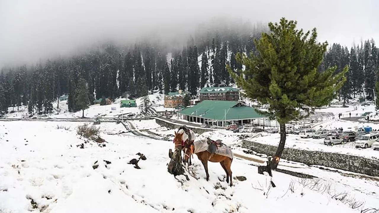 राजधानी में दो दिन तक बारिश की आशंका, ठंड और कोहरे का प्रकोप